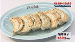 パイカル焼きギョーザ