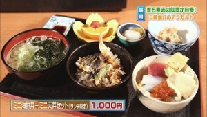 ミニ海鮮丼