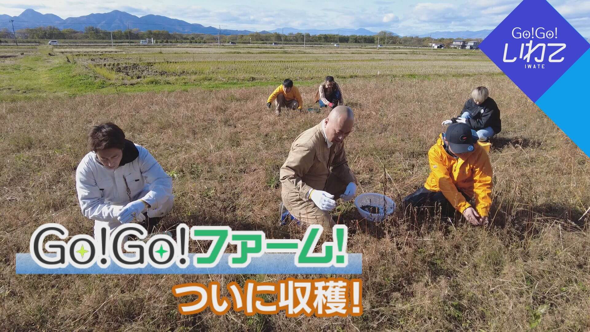 Go!Go!ファーム～収穫～
