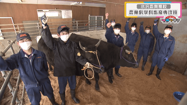 #30 水沢農業高 農業科学科畜産専攻班