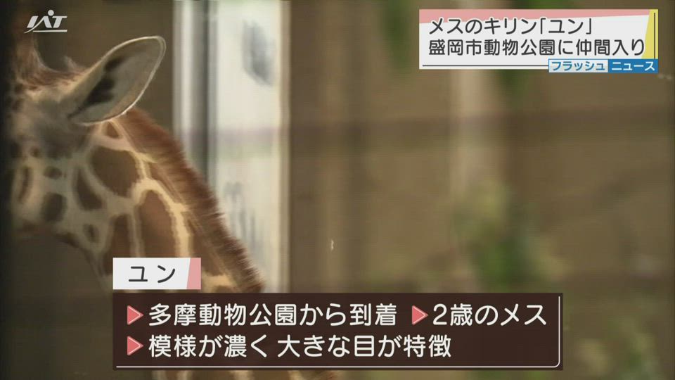 動画 Iat岩手朝日テレビ