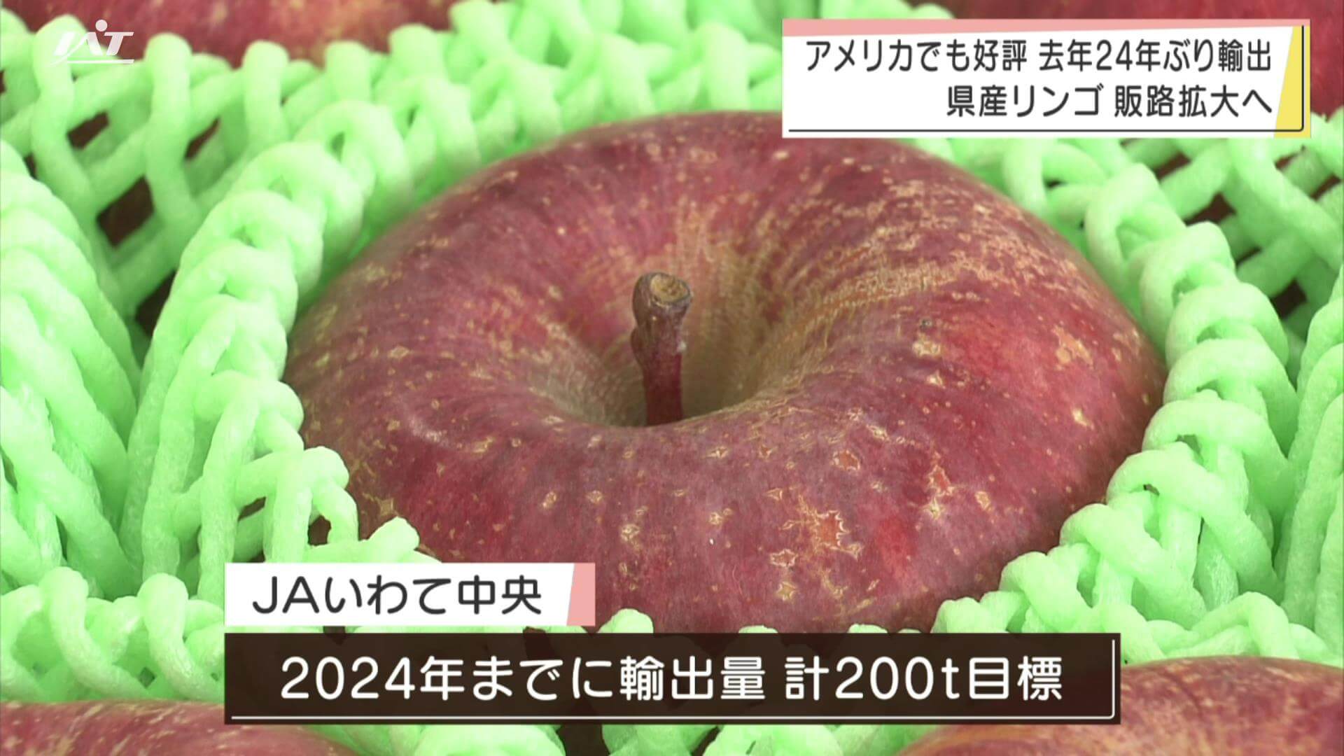 去年２４年ぶりに輸出再開の県産リンゴ　今年もアメリカへ出荷【岩手】