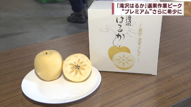 「滝沢はるか」選果作業ピーク　厳しい基準で選別も異変が【岩手】