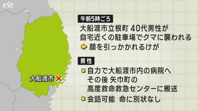 自宅近くの駐車場でクマに襲われ男性けが　命に別状なし【岩手・大船渡市】