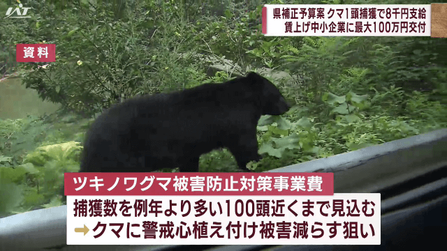 県補正予算案　クマ１頭捕獲で８０００円支給　賃上げ中小企業に支援金【岩手】