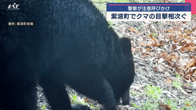紫波町でクマの目撃相次ぐ　周辺住民に注意を呼びかけ【岩手・紫波町】