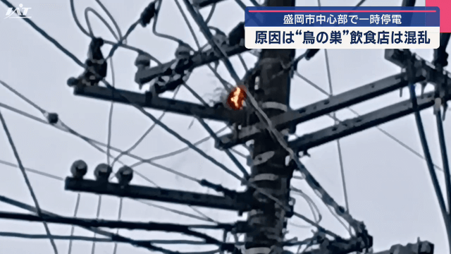 盛岡市の中心部で一時停電　原因は「鳥の巣」　飲食店は混乱【岩手・盛岡市】