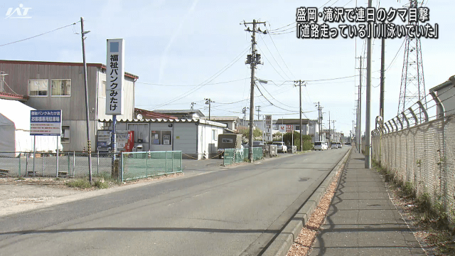 盛岡市・滝沢市で連日のクマ目撃「道路走っている」「川泳いでいた」【岩手】