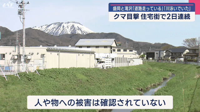 盛岡市と滝沢市　クマ目撃　住宅地で２日連続　「道路走っている」「川泳いでいた」【岩手】