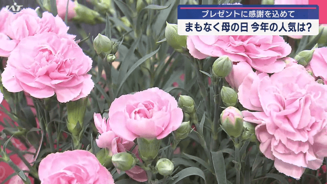 母の日まもなく　今年の人気商品は？【岩手・盛岡市】