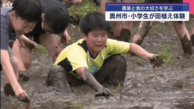 小学生が田植え体験　農業や食の大切さ学ぶ【岩手・奥州市】　