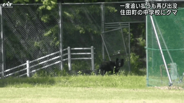 中学校グラウンドにクマ出没【岩手・住田町】
