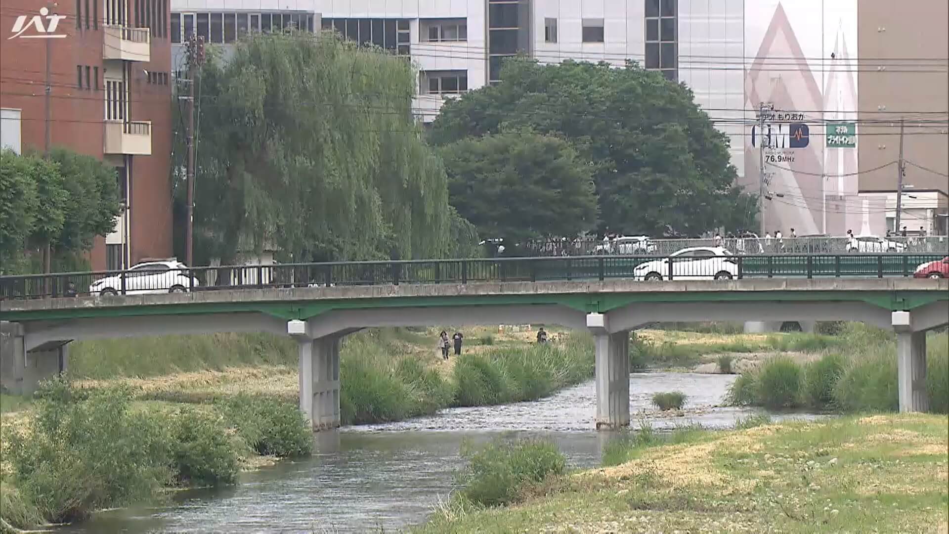 東北地方で梅雨入り　東北北部は平年並み【岩手】