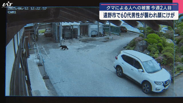 遠野市で６０代男性が襲われ顔にけが　クマによる人への被害　今週２人目【岩手】