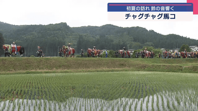 初夏の風物詩　チャグチャグ馬コ　梅雨空に鈴の音響く【岩手】