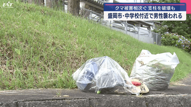 中学校正門前でクマに襲われ高齢男性ケガ【岩手・盛岡市】