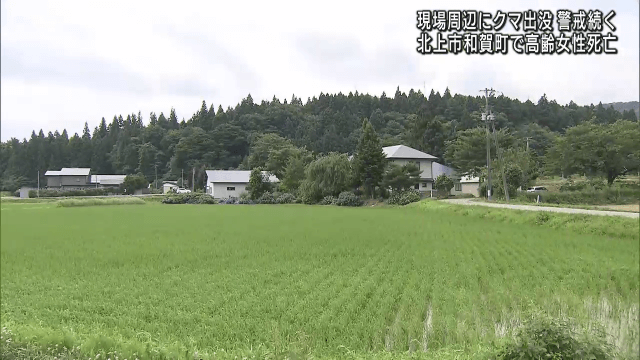 クマ出没情報　警戒続く【岩手・北上市】