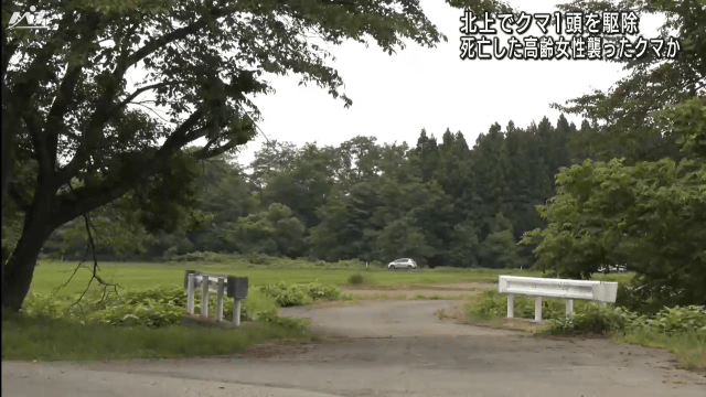 北上でクマ１頭を駆除　死亡した高齢女性を襲ったクマか【岩手・北上市】