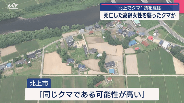 北上でクマ１頭を駆除　死亡した高齢女性を襲ったクマか【岩手・北上市】
