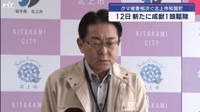 新たにクマ１頭駆除【岩手・北上市】