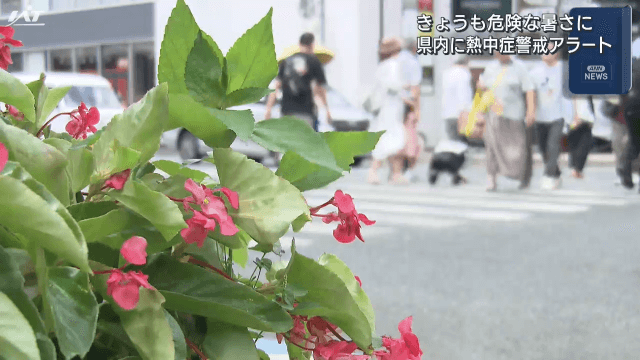 県内に熱中症警戒アラート　危険な暑さに【岩手】
