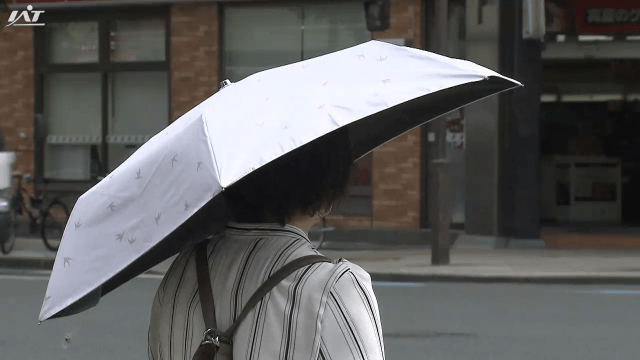 県内に熱中症警戒アラート　危険な暑さに【岩手】