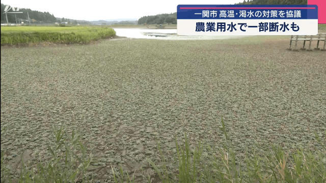 高温・渇水のため一関市が対策本部設置【岩手】