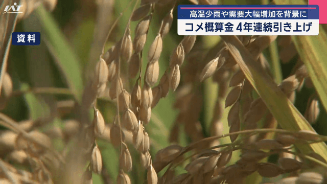 高温少雨や需要大幅増加を背景に　コメ概算金　４年連続引き上げ【岩手】