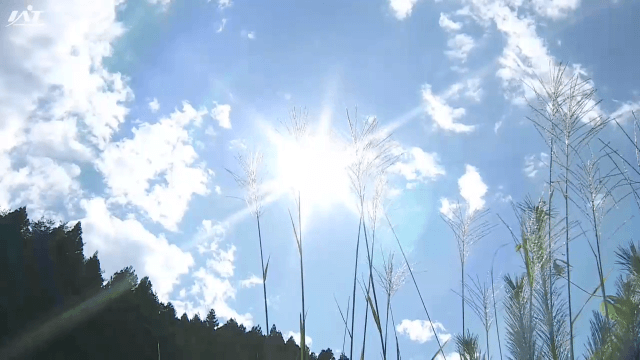 釜石市で９月の猛暑日「今年最高」【岩手】