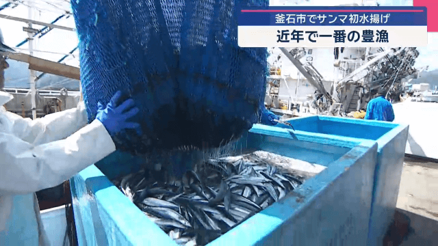 サンマ初水揚げ　近年で一番の豊漁【岩手・釜石市】