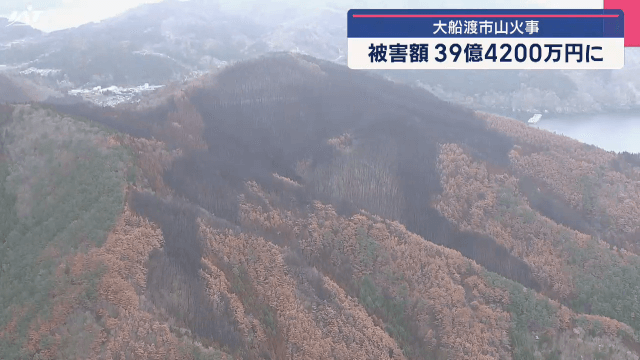 大船渡市山火事　被害額３９億４２００万円に【岩手】