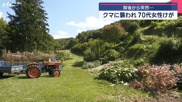 自宅近くでクマに襲われる　７０代女性けが【岩手・葛巻町】