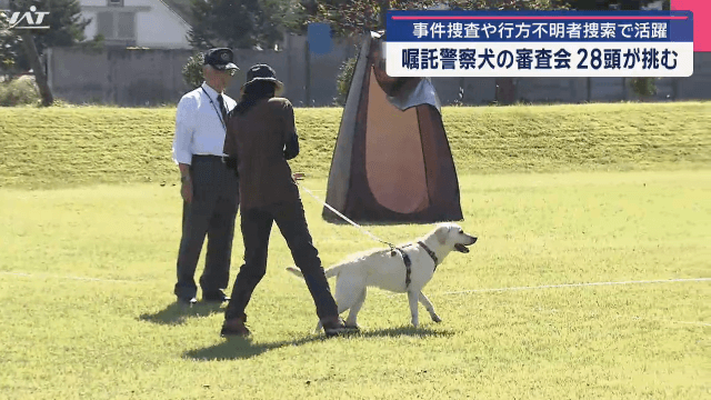 事件捜査や行方不明者捜索で活躍　嘱託警察犬審査会　２８頭が挑む【岩手・盛岡市】