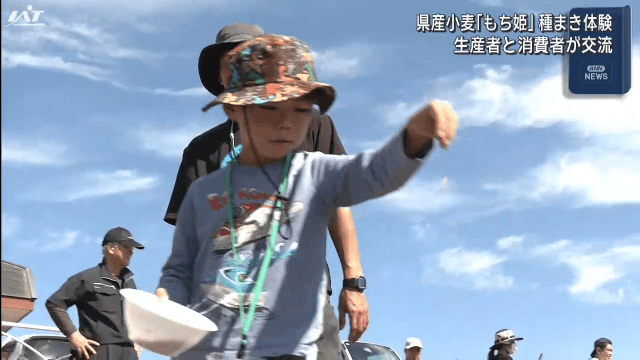 もち小麦「もち姫」種まき作業体験【岩手・紫波町】