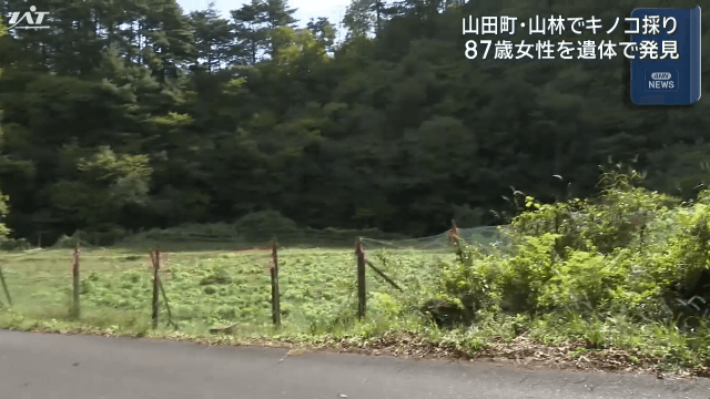 山林でキノコ採り　８７歳女性の遺体発見【岩手・山田町】