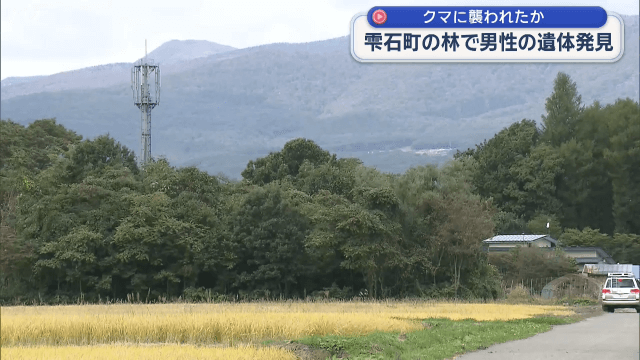 クマに襲われたか　林で男性の遺体発見【岩手・雫石町】