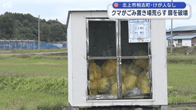 クマがごみ置き場荒らす　扉を破壊【岩手・北上市】