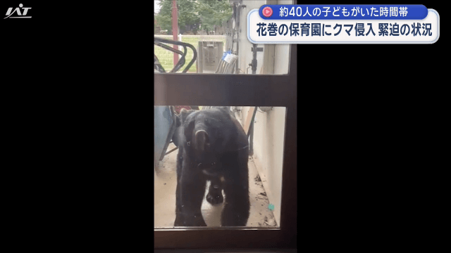 花巻の保育園園庭にクマ侵入　緊迫の状況【岩手・花巻市】
