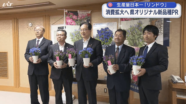 生産量日本一のリンドウ　消費拡大へ県オリジナル新品種ＰＲ【岩手】