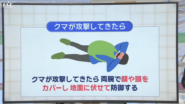 クマに遭遇してしまったら【岩手】