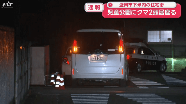 【続報】盛岡市の住宅街　児童公園にクマ２頭居座る【岩手・盛岡市】