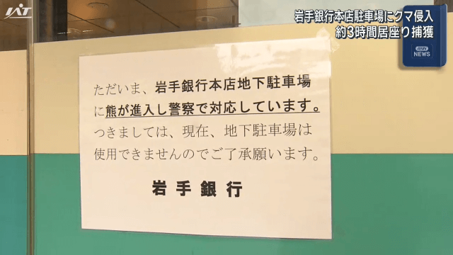 銀行の地下駐車場にクマ立てこもり【岩手・盛岡市】