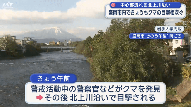 盛岡市内で29日もクマの目撃相次ぐ 中心部流れる北上川沿い 県教育長も危機感【岩手・盛岡市】