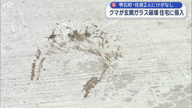 クマが玄関ガラス破壊 住宅に侵入 住民2人にけがなし 知事も危機感示す【岩手・雫石町】