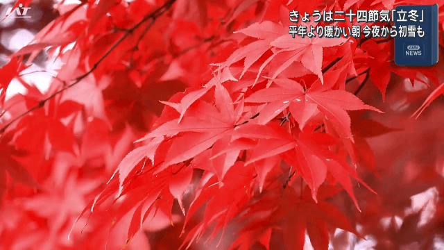 二十四節気「立冬」　岩手公園の紅葉すすむ　平年より暖かい朝　今夜から初雪も【岩手・盛岡市】
