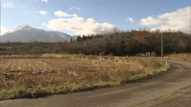 男性クマに襲われる　犬の散歩中に…頭や腕けが【岩手・八幡平市】