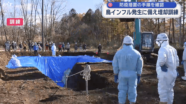 鳥インフルエンザに備え埋却訓練　防疫措置の手順を確認【岩手・滝沢市】