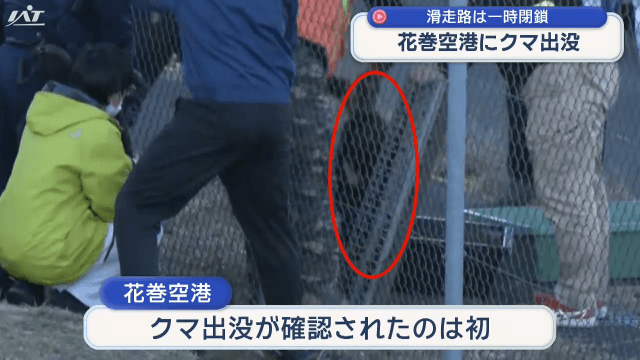 花巻空港にクマ　八幡平市では散歩中の男性がクマに襲われけが　盛岡市中心部でも目撃相次ぐ【岩手】