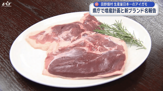 生産量日本一　田野畑村のアイガモ　県庁で増産計画と新ブランド名報告【岩手・盛岡市】