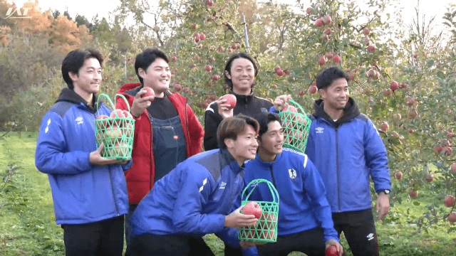 グルージャ選手がリンゴ収穫　将来の選択肢に　農業を体験【岩手・二戸市】